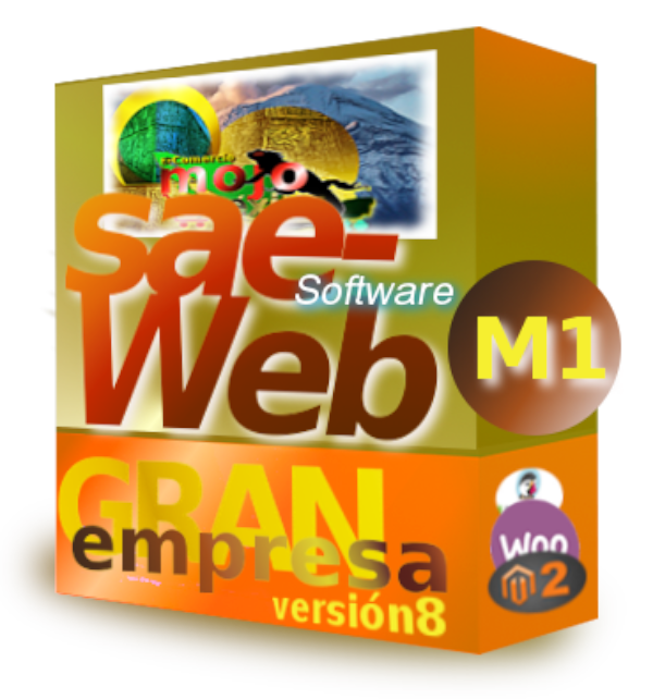 Saeweb conexion ERP